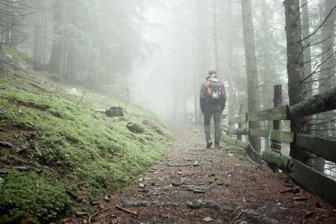 A man walking alone inside a forest in a foggy day Foto stock