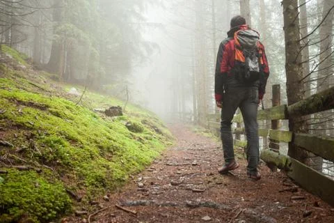 A man walking alone inside a forest in a foggy day Stock Photos