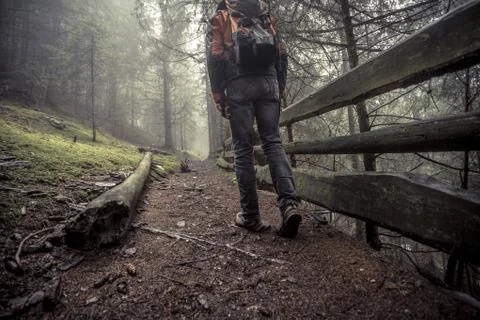 A man walking alone inside a forest in a foggy day Stock Photos