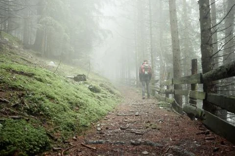 A man walking alone inside a forest in a foggy day Foto stock