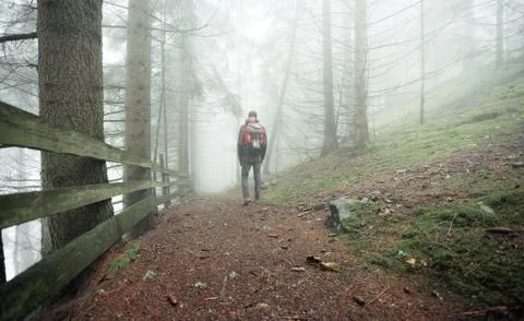 A man walking alone inside a forest in a foggy day Stock Photos