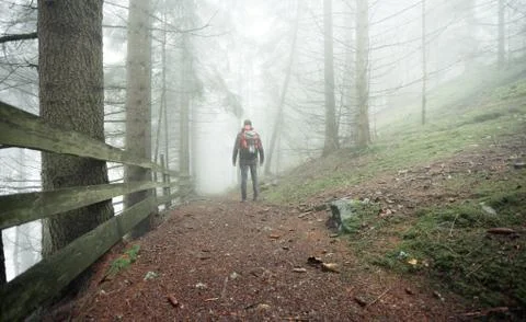 A man walking alone inside a forest in a foggy day Stock Photos