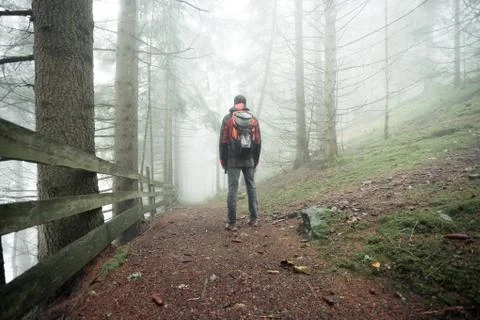 A man walking alone inside a forest in a foggy day Foto stock