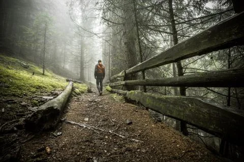 A man walking alone inside a forest in a foggy day Foto stock