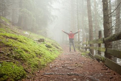 A man walking alone inside a forest in a foggy day Stock Photos