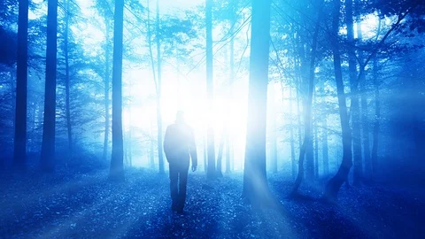 Man walking alone in mystical blue fores... | Stock Video | Pond5