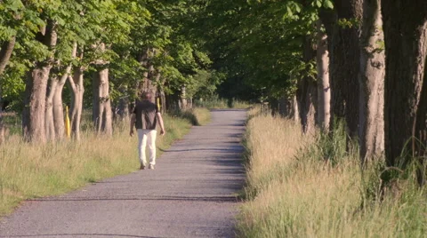 Man walking alone in the park. Video stock 52203906