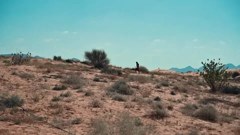 A man walking alone through the green desert in the UAE Stock Footage 290881620