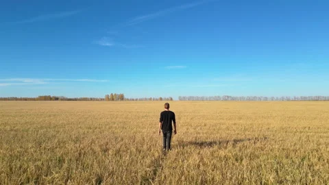 Man is walking alone through a large field on a sunny day in autumn Stock Footage 287087766