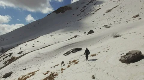 A man walking alone with a wolf on the snow-capped mountains. Aerial video. N. Stock-Footage 63434147