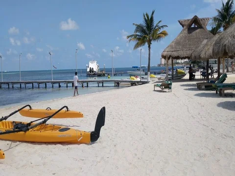 Man Walking Along The Beach Stock Footage 73973776