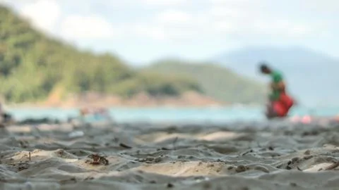 Man walking along the beach Stock Photos