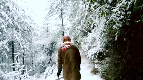 The Man walking along the deep valley of Jammu Kashmir Video stock 256563546