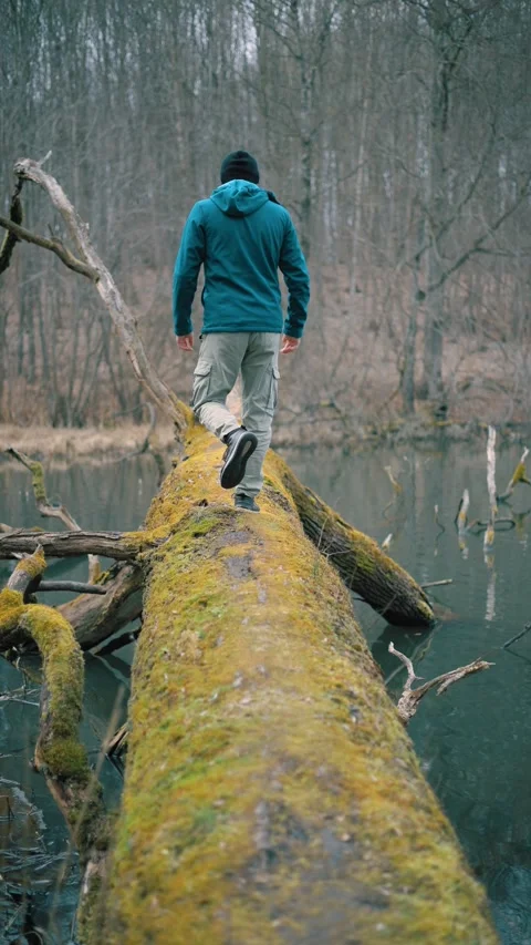 Man walking along a fallen tree over a calm lake in a quiet forest Stock Footage 331995873