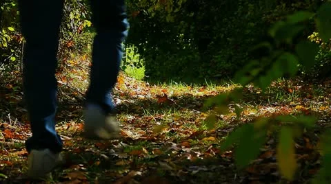 Man walking along forest path in the early morning sunlight Stock Footage 12282633