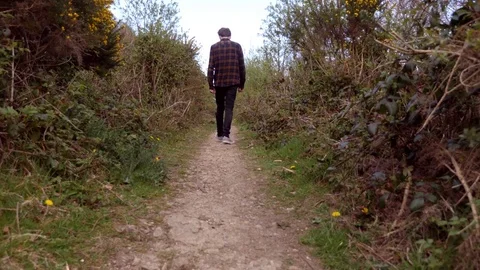 Man walking along a nature path Stock Footage 74604536