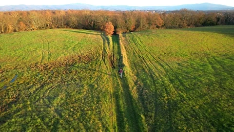 Man walking along path field alone Aerial Italy drone gymbal reverse Stock Footage 232317178