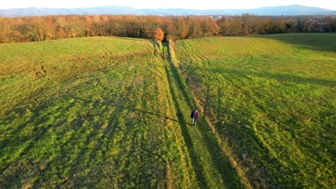 Man walking along path field alone Aerial Italy drone reverse gymbal  Stock Footage 232317182