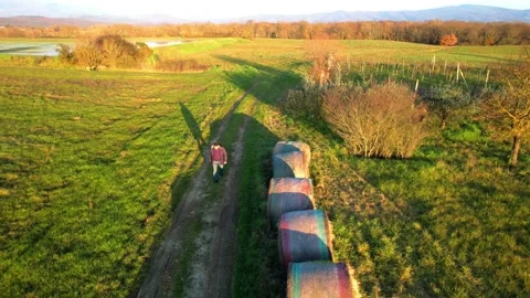 Man walking along path field alone Aerial Italy drone gymbal tracking 스톡 동영상 232317193