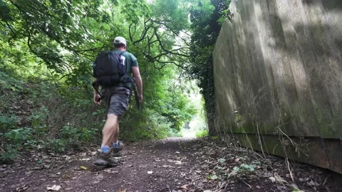 A man walking along a path near a wooden fence in woodland Stock Footage 137958601