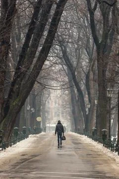Man walking along path surrounded by trees, in winter, carrying a bag. Stock-Fotos