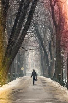 Man walking along path surrounded by trees, in winter, carrying a bag, colore Stock Photos