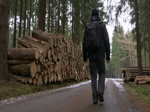 Man walking along a pile of cut wood Stock-Footage 83621692