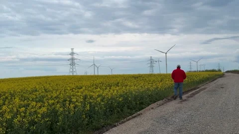 Man Walking Along Rapeseed Field Toward Wind Farm and Power Infrastructure Stock Footage 335809282