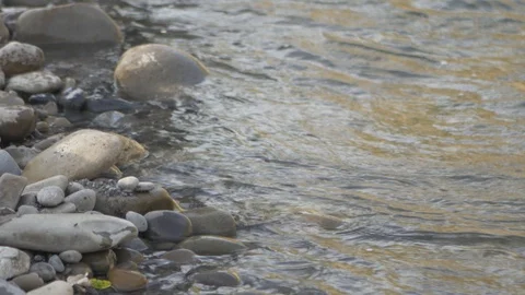 Man walking along river edge wearing waders for fly fishing Vidéo 89137605