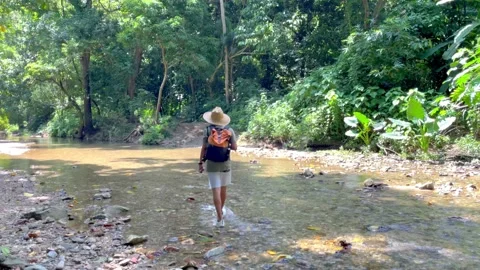 Man walking along the river Stock Footage 233257915