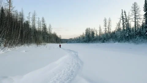 Man walking along a snowy path along winter forest. Taiga in Siberia. Russia. 4K Stock Footage 131003086