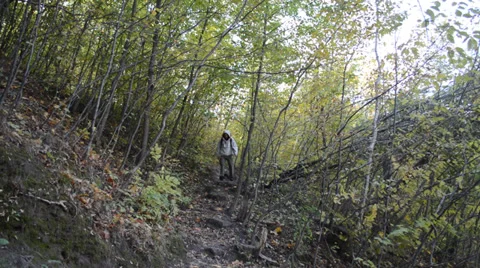 Man walking along the trail, front view Stock Footage 31319221