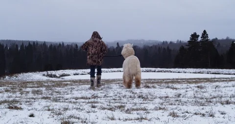 Man Walking With Alpaca In Forest Stock Footage 125927000