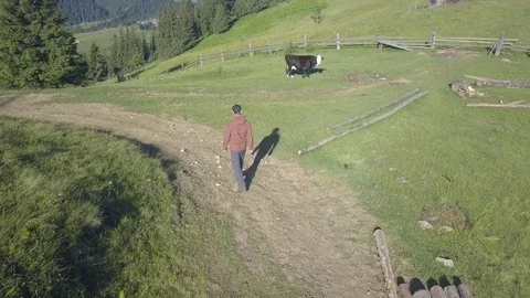 Man walking on the alpine green grass mountain field Stock Footage 78419870