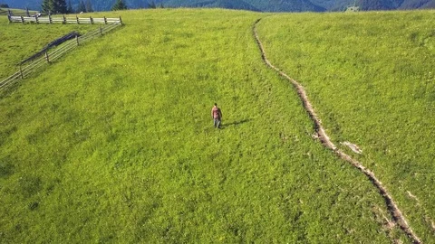Man walking on the alpine green grass mountain field Stock Footage 78420046