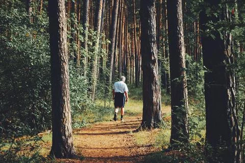 A man walking among the trees in the forest Foto stock