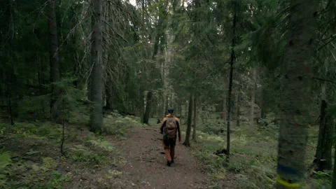 A man walking and exploring on a nature path in old forest. Stock Footage 211726084