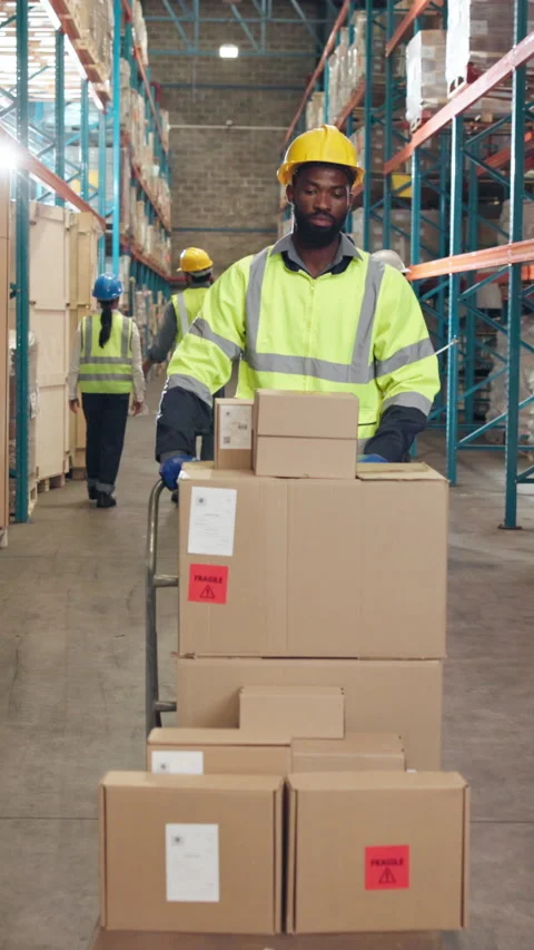 Man, walking and trolley at warehouse with boxes, inventory and supply chain for Stock Footage 340540511