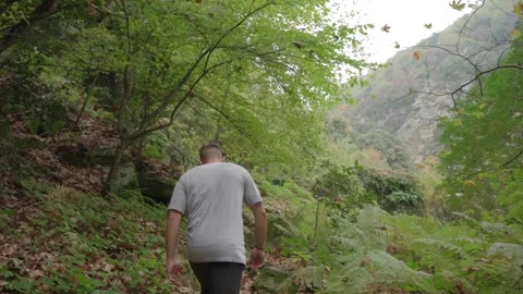 MAN WALKING AROUND THE FOREST (SONY S-LOG2) 4K Stock Footage 223670817