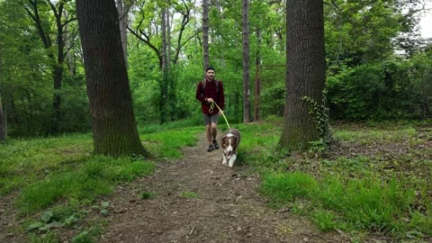 Man walking with Australian Shepherd dog on leash through green forest clearing Stock Footage 319897256