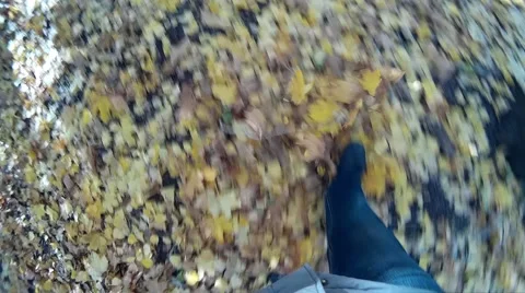 A man is walking in the autumn forest Stock Footage 68617049