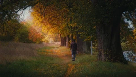 Man walking in the Autumn leafs Stock Footage 236262520