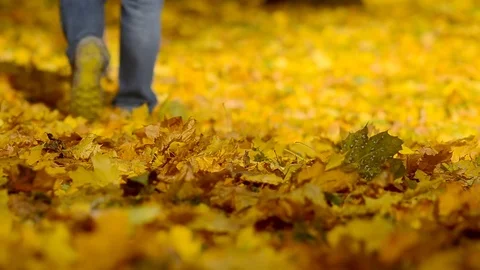 Man walking on a autumn leaves. Stock Footage 81756533