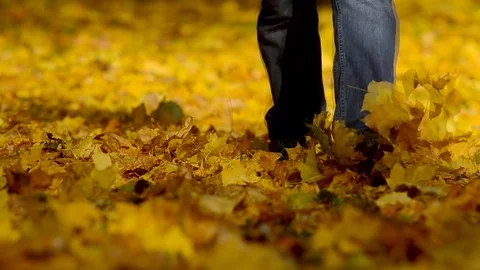 Man walking on a autumn leaves. Stock Footage 82718411