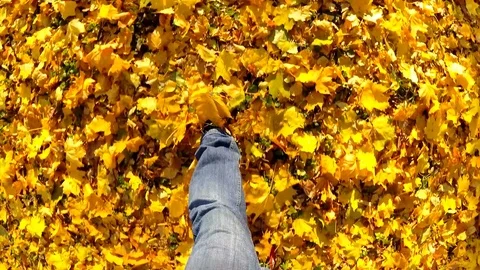 Man walking on a autumn leaves. Stock Footage 82765758