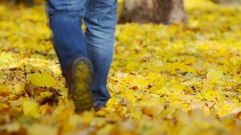 Man walking on a autumn leaves. Stock Footage 83104002