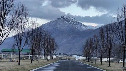 Man Walking Away and Back and Running on Tree Path with mountains Vídeos de archivo 150885100