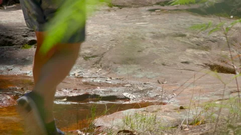 Man walking away from camera on a bush track, past a stream Stock Footage 141169931