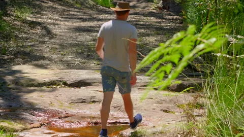 Man walking away from camera on a bush track, past a stream Stock Footage 149018439