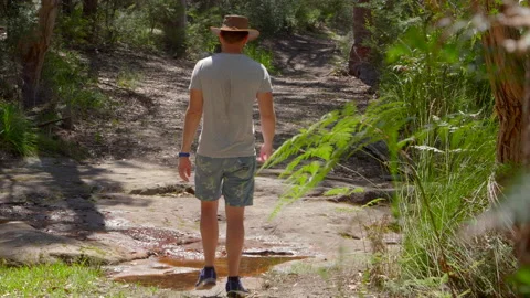 Man walking away from camera on a bush track, past a stream Stock Footage 149018454